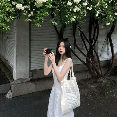 万紫千红花弄蝶